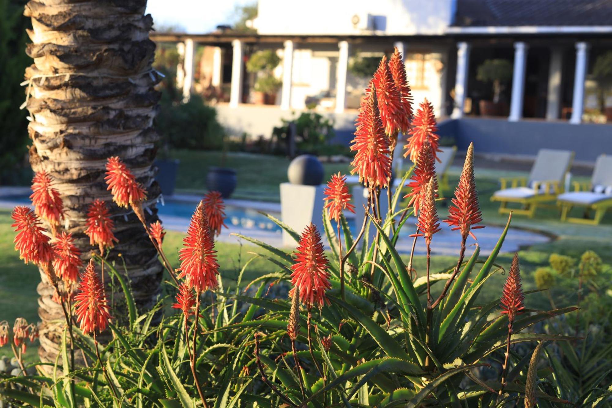 Thylitshia Villa Country Guest House Oudtshoorn Exterior photo