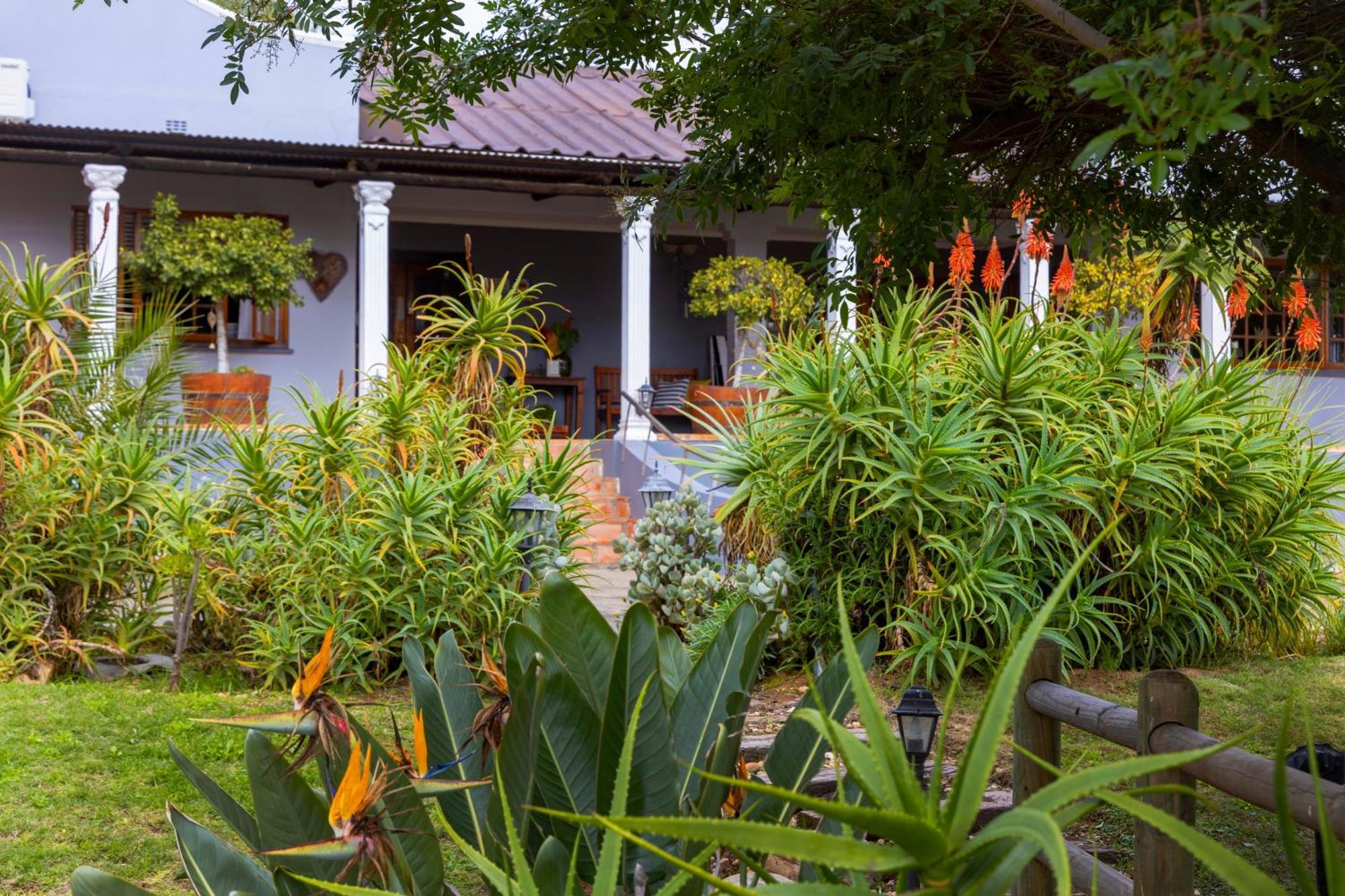 Thylitshia Villa Country Guest House Oudtshoorn Exterior photo