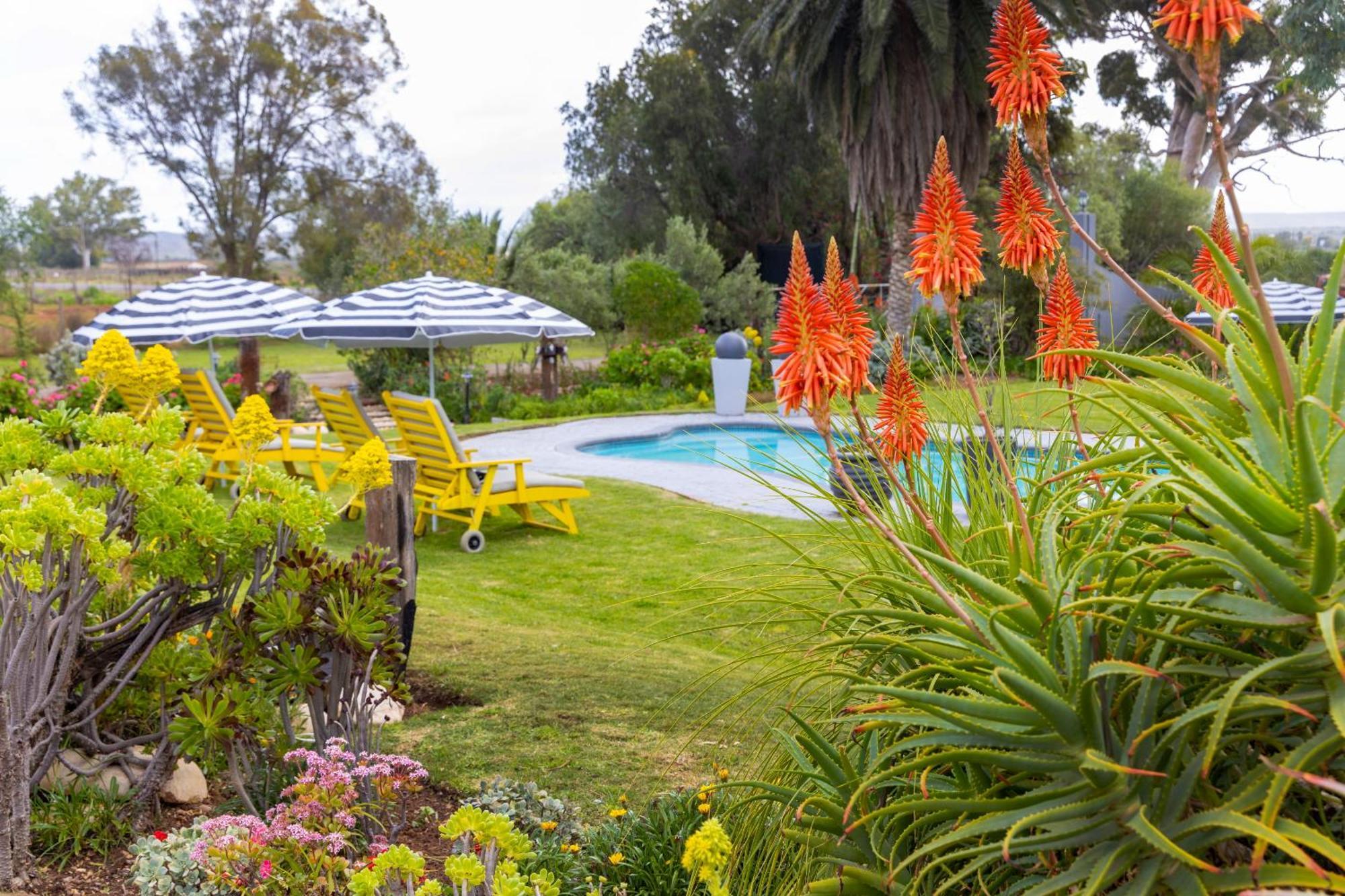 Thylitshia Villa Country Guest House Oudtshoorn Exterior photo